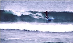 Audi ALLROAD_QUATTRO