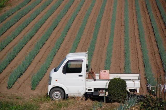 軽トラの維持費を徹底解説!税金・保険・燃費など必要な費用の全体像は?
