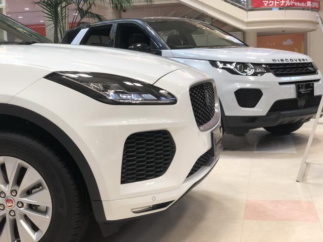 ららぽーとTOKYO-BAYにてポップアップギャラリー開催！