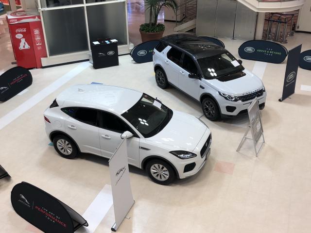 ららぽーとTOKYO-BAYにてポップアップギャラリー開催！