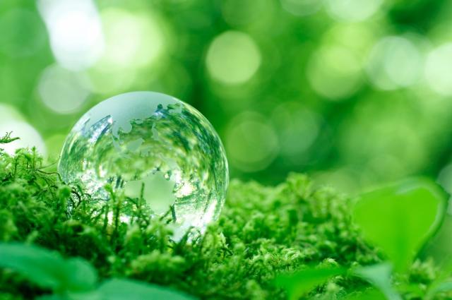 自動車購入時にはエコカー減税制度をチェック!内容や補助金についても解説