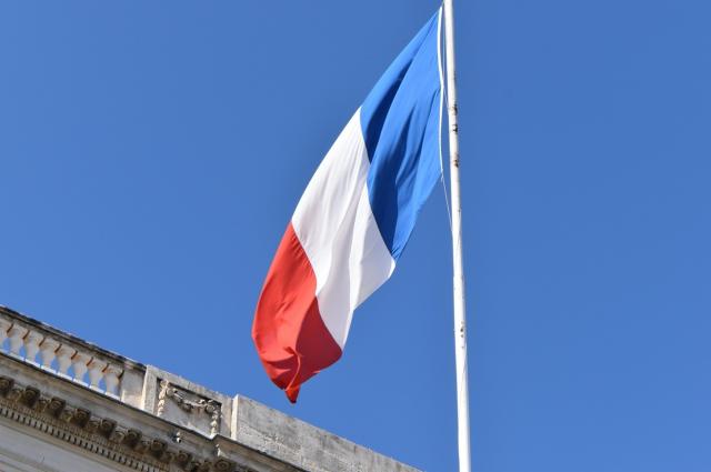 プジョーにはどんな車種があるの？今買えるラインナップを一挙公開！