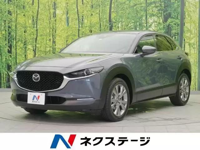 世界的ブームのコンパクトSUV!外車・国産車の人気車種を紹介!