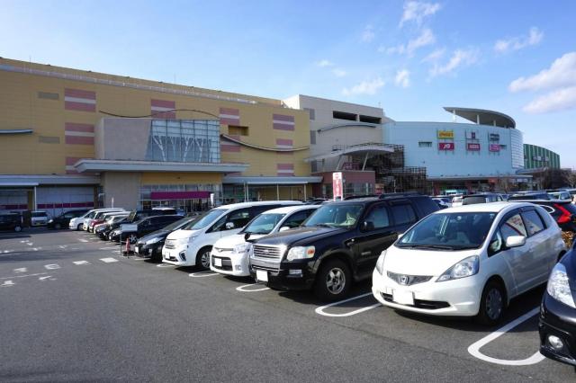 手間を最小限に抑えた車の買い方を手順別に解説！