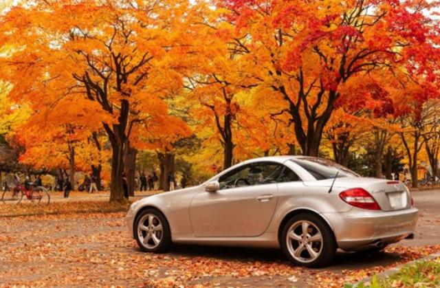 ベンツの全クラスを徹底比較！おすすめのエントリーモデルを3車種紹介