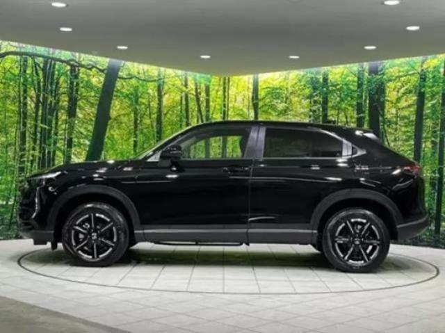 黒のSUVのサイドビュー