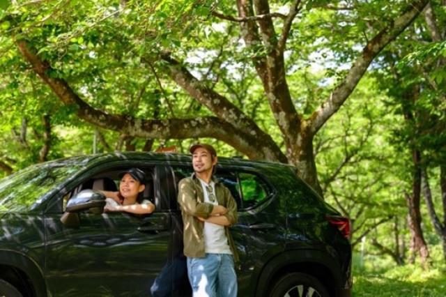 停車した車の中にいる女性とその車に寄りかかる男性