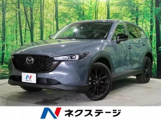 中古車の買取り人気ランキング！高く売るポイントや業者選びのコツをご紹介