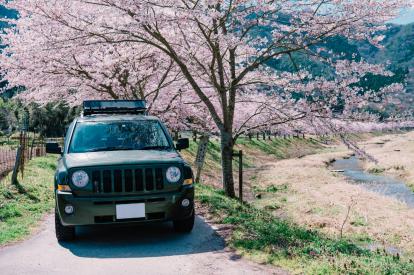 SUVのおすすめをタイプ別に20車種紹介！自分に適したSUVは？