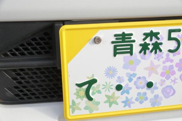車のナンバープレートの分類番号はどれ?記載された情報を徹底解説