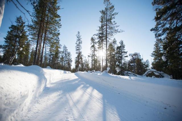 クロカン4WDならではの特徴は?代表車種も紹介