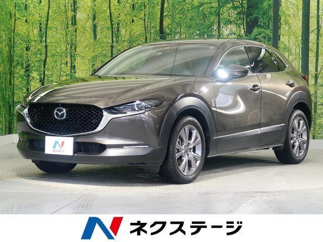 SUVは初心者でも運転しやすい!初心者向きSUVと2021年注目のSUV