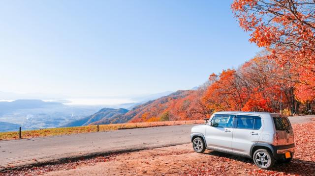 軽自動車が人気の理由は?タイプ別のおすすめ車種もご紹介