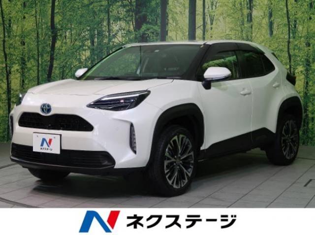 トヨタ・ライズが人気の理由とは?気になる燃費や中古車価格を解説!