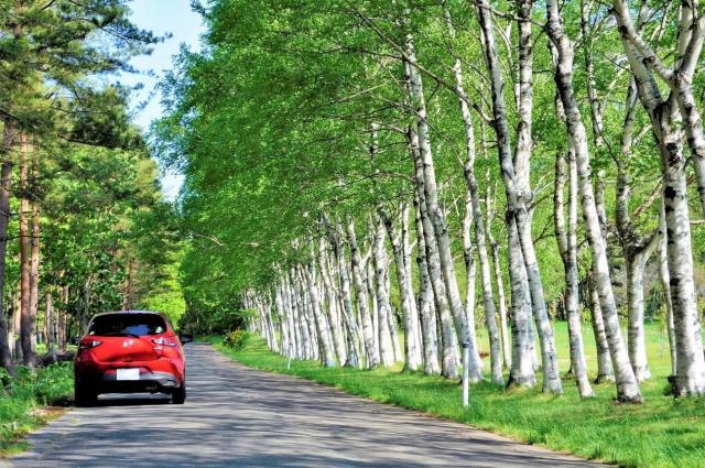 デミオはどこで買えるの?購入時のポイントやマツダ2との違い