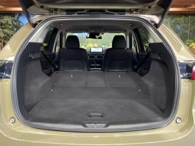 CX-5とCX-30の違いを徹底解説!家族の理想の一台を見つけよう