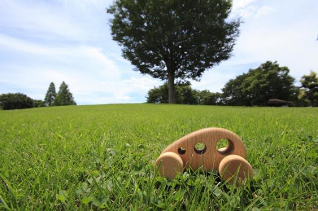 日産リーフの魅力と航続距離を解説!補助金の活用してお得に手に入れよう