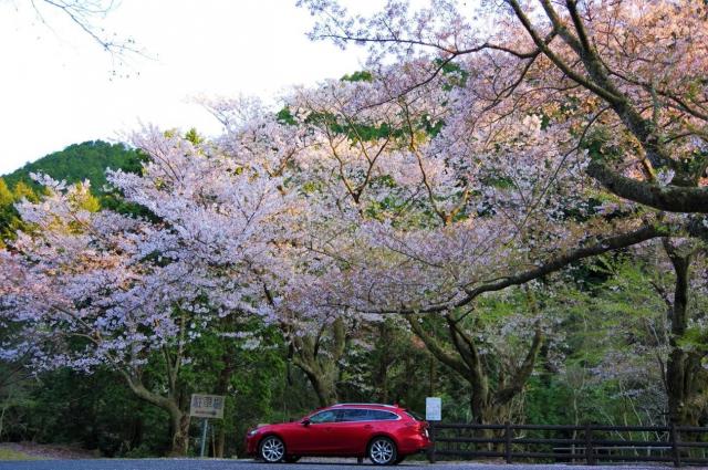 ステーションワゴンとは？魅力や人気のモデルをピックアップ