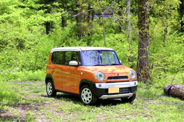 ハスラーはキャンプや車中泊に最適?カスタムでオリジナリティを出すことも◎