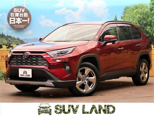 RAV4ハイブリッドを徹底解説!ガソリン車とどっちを買うべき?
