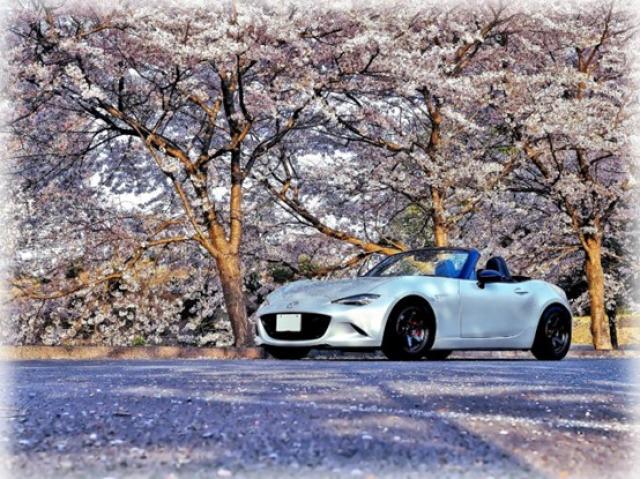 ロードスターNDの進化したポイントとは?中古・カスタムについても解説