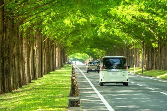 緑地でのドライブ風景