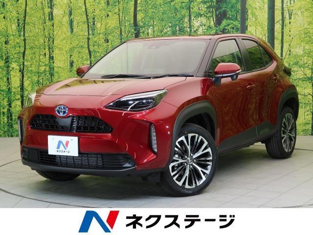 VW T-Crossはどんな車?使ってよし・走ってよしの魅力を紹介!