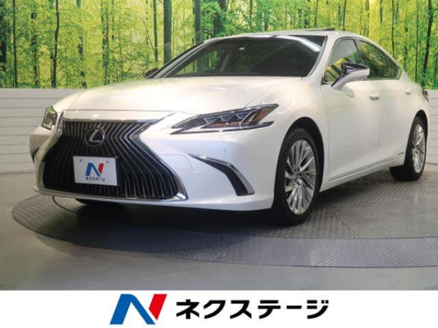 レクサスのハイブリッド車が人気!現行SUV・セダン・クーペや選び方も解説