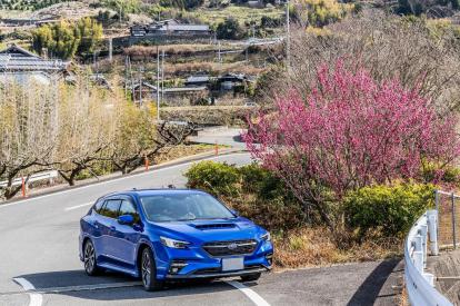 スバル フォレスターってどんな車なの 中古車選びの注意点や相場をご紹介 新車 中古車の ネクステージ