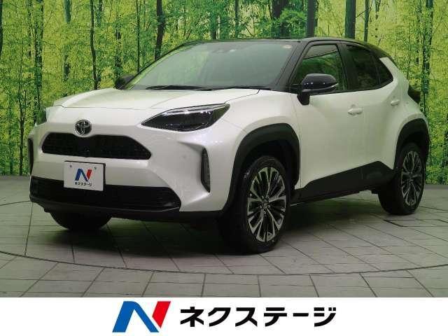 ディーラー販売の在庫車とは？購入するメリットやデメリットを比較してみよう