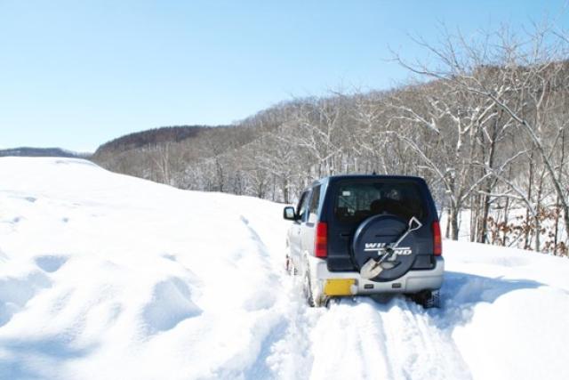 中古で狙い目の軽自動車はどれ?選ぶポイントやボディタイプ別19車種を紹介