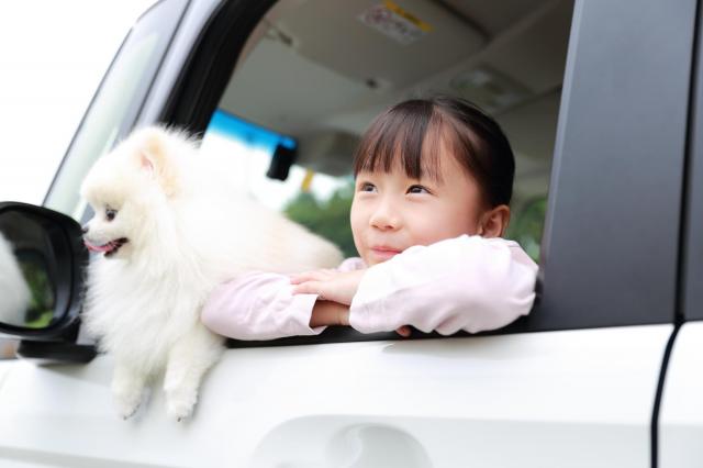 勤続年数1年未満でもマイカーローンは利用できるの？車を購入するコツを解説