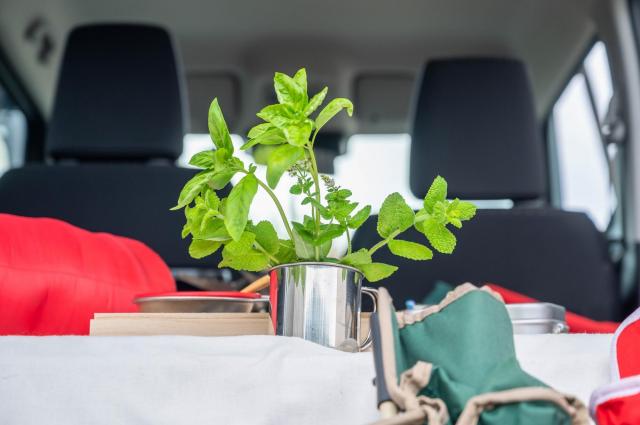 フォレスターで車中泊がしたい！特徴や車選びのポイントを徹底解説