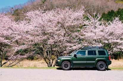 【2021年最新】国産車から外車まで！7人乗りSUVのおすすめ7選