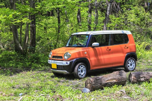 軽自動車のSUVに乗りたい!選ぶメリットやデメリットと目的別の選び方