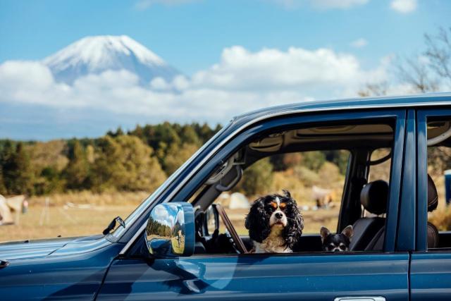 SUVの魅力を総まとめ！選び方のポイントも解説