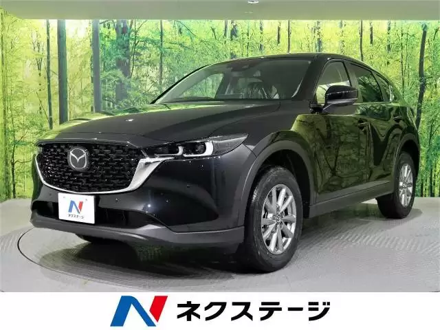 ハッチバック式SUVのおすすめ11選!ボディタイプの特徴やお得に乗るコツ