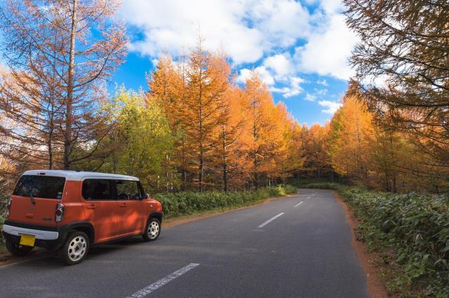 女性からアリと思われる軽自動車は？男性にもおすすめの車種を紹介