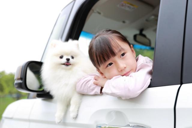 軽自動車もハイブリッドの時代!各メーカーのラインアップを紹介