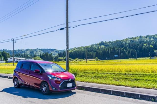 ミニバンをサイズ別に徹底比較！サイズ別人気モデルと選び方を解説