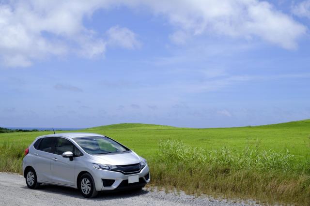 自然の中で停車している車
