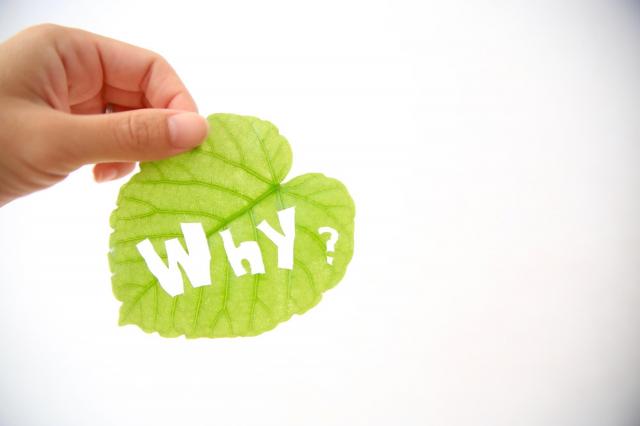 認定中古車の魅力から注意点まで徹底解説!購入の流れもよく分かる