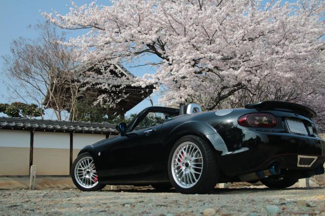 ポルシェ ボクスターとマツダ ロードスターを買うならどっち？特徴を徹底比較