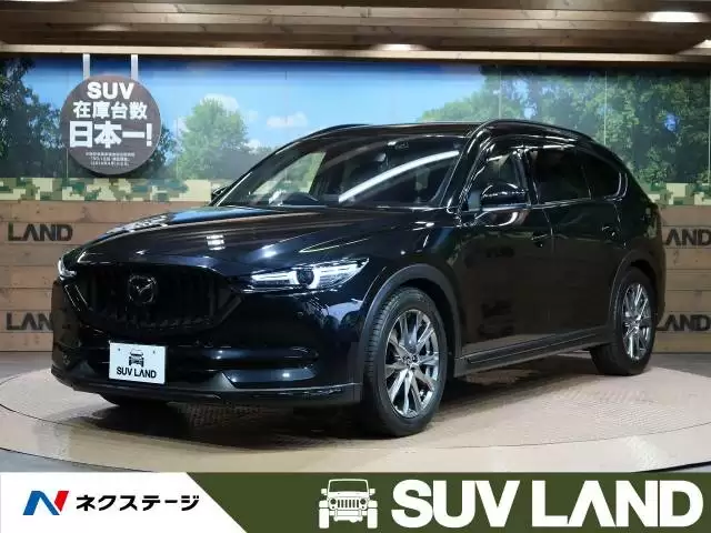 サーフィンにおすすめの車10選！失敗しない選び方のポイントも解説