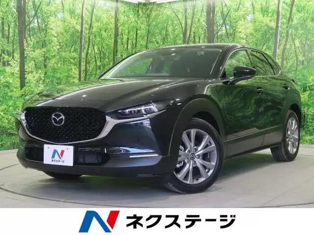 ぶつからない車に備わっている安全機能とは？安全性能ランキングも紹介