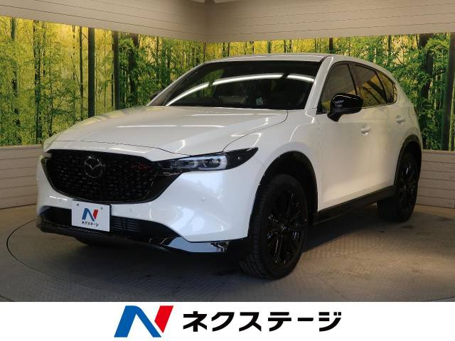 クリーンディーゼルとは?減税制度・補助金やおすすめ12車種を紹介