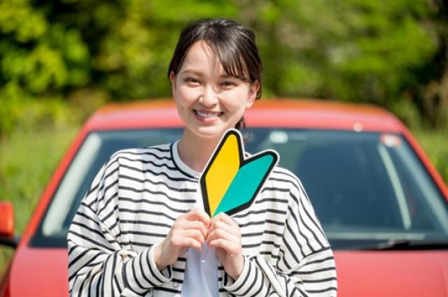 初心者マークの表示義務期間は？入手方法や適切な表示方法を紹介