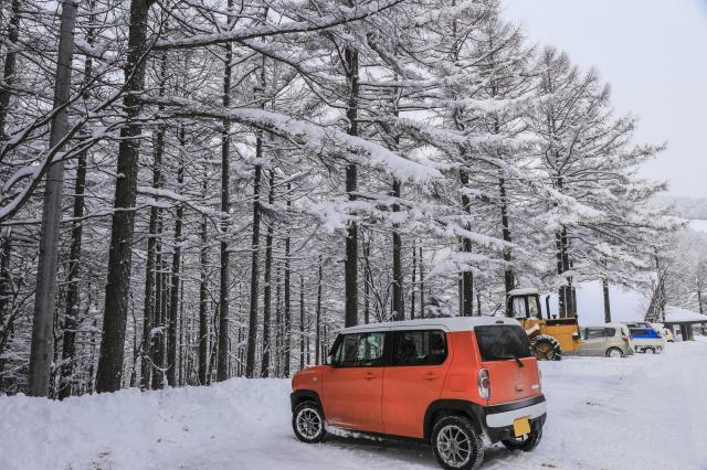 中古車「MAZDA フレア」の賢い購入方法や探し方を徹底解説!