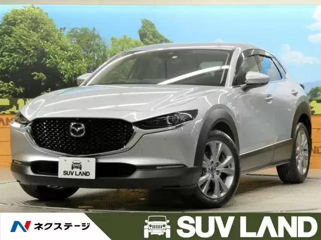 安全な車の選び方を解説！最新ファイブスター受賞の15車種を紹介