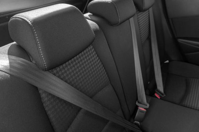 車の虫除け方法は?車外・車内におけるおすすめの対策や付着時の対処法